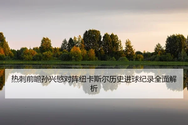 热刺前瞻孙兴慜对阵纽卡斯尔历史进球纪录全面解析