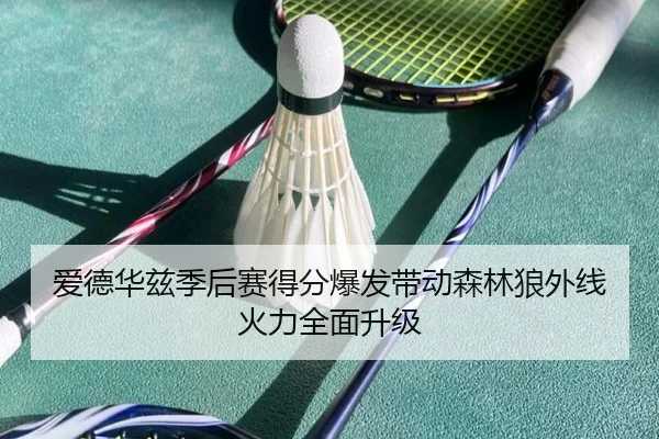 爱德华兹季后赛得分爆发带动森林狼外线火力全面升级